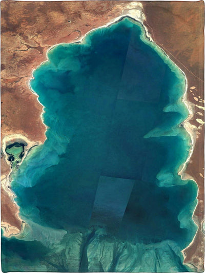 Barren Lake Battle Gaming War Mat  60" x 80" Polar Fleece