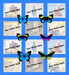 Butterfly Collage Throw