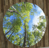 Tree Canopy 60" Round Microfiber Beach Towel