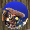 Colorful Fish 60" Round Microfiber Beach Towel