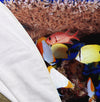 Colorful Fish 60" Round Microfiber Beach Towel