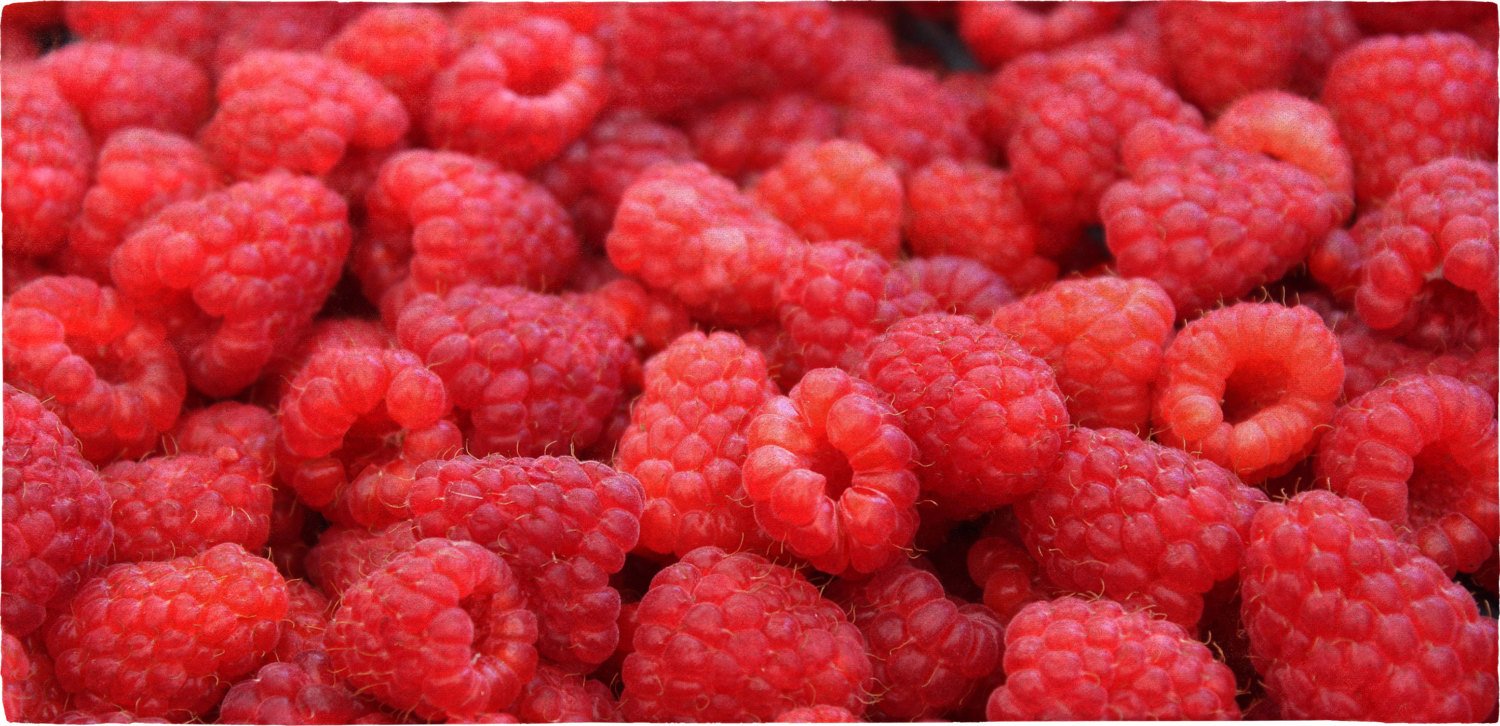 Raspberries - 30" x 60" Microfiber Beach Towel