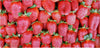 Strawberries - 30" x 60" Microfiber Beach Towel