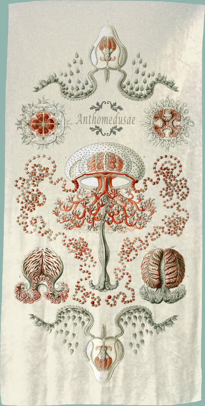 Artistic Jellyfish Illustration- "Anthomedusae by Haeckel"- Microfiber Beach Towel