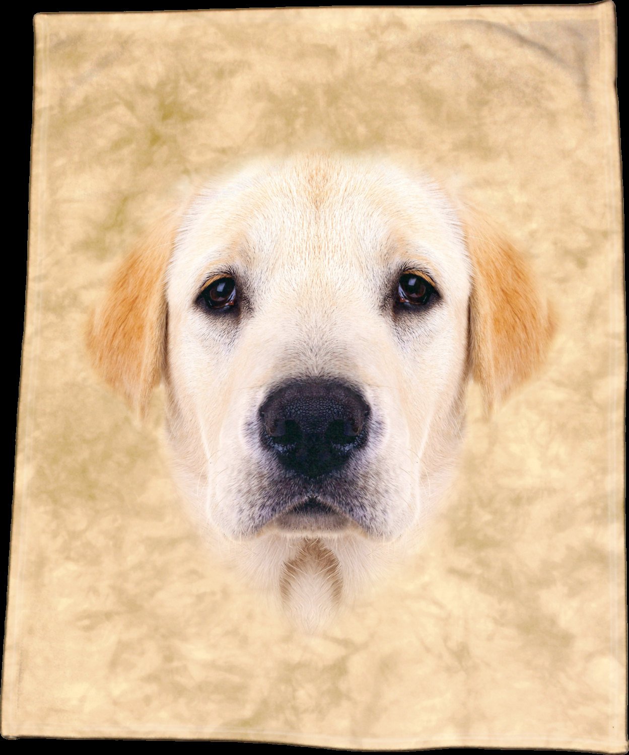 Yellow Labrador Face Throw Blanket / Tapestry Wall Hanging
