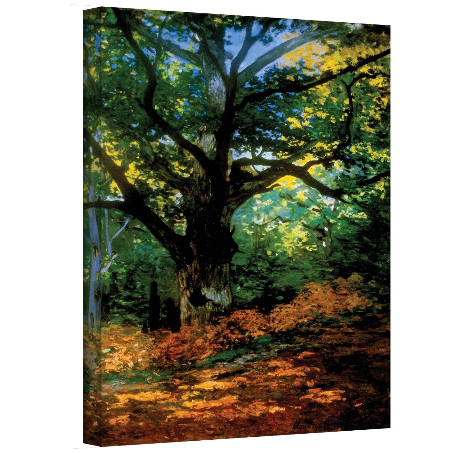 Claude Monet, "Bodmer Oak at Fountainbleau Forest" 12" x 18" x 1.5" Canvas Gallery Wrap Print
