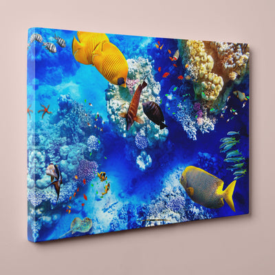 Coral and Tropical Fish, Underwater Photo (12" x 18") - Canvas Wrap Print