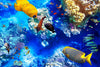 Coral and Tropical Fish, Underwater Photo (16" x 24") - Canvas Wrap Print