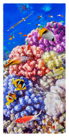 Caribbean Coral and Tropical Fish, Underwater Photo, 30" x 60" Microfiber Beach Towel