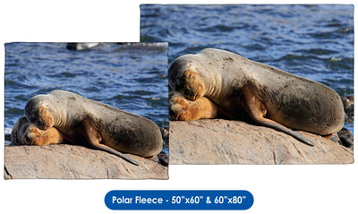 South American Sealions Cuddling - Throw Blanket / Tapestry Wall Hanging