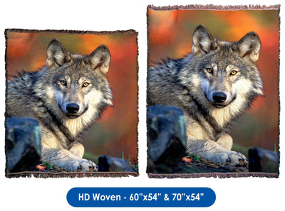 Reclining Gray Wolf - Throw Blanket / Tapestry Wall Hanging